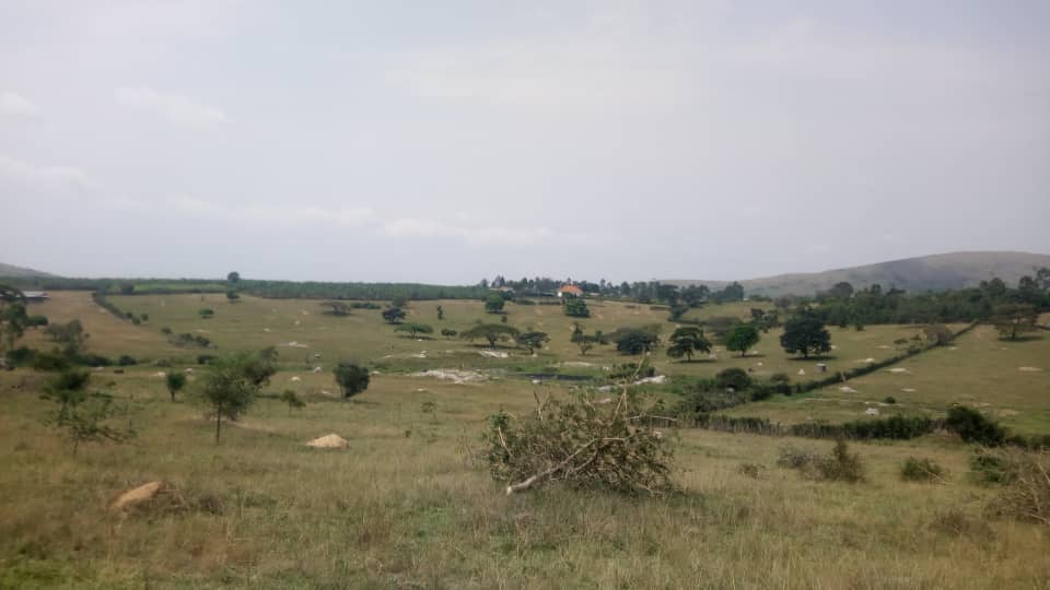 WhatsApp Image 2023-02-22 at 3.41.03 PM 1.jpeg